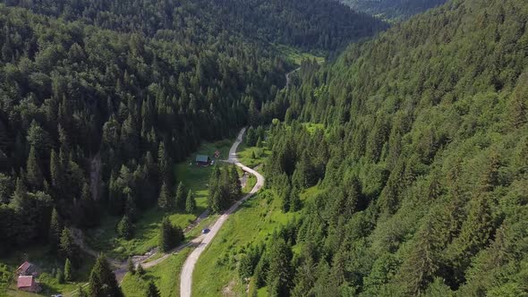 Aerial Forest and Mountain Footage V8