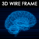Human Brain 3D Wire Frame - VideoHive Item for Sale