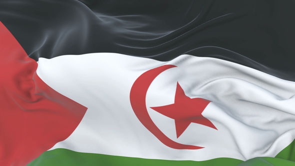Flag of Western Sahara Waving at Wind alt
