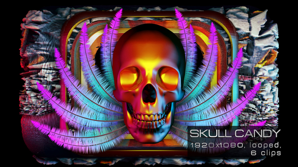 Skull Candy VJ Pack