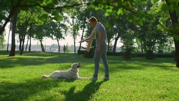 Happy Man Petting Golden Retriever Park