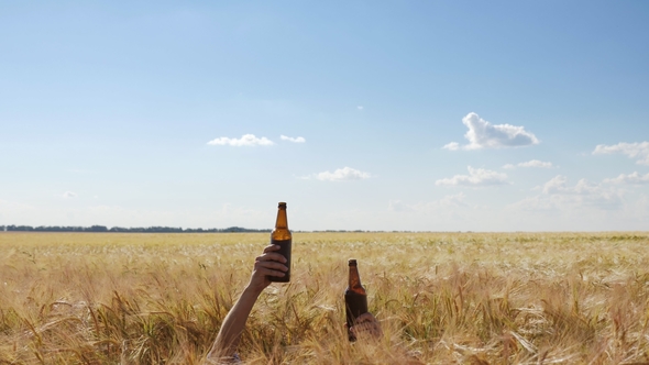 Two Hands of People with Bottles of Beer in the Middle of the Barley Field