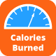 MWP Calories Burned By Exercises Calculator - CodeCanyon Item for Sale