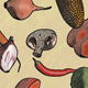 Vegetables Fall Drawing - VideoHive Item for Sale