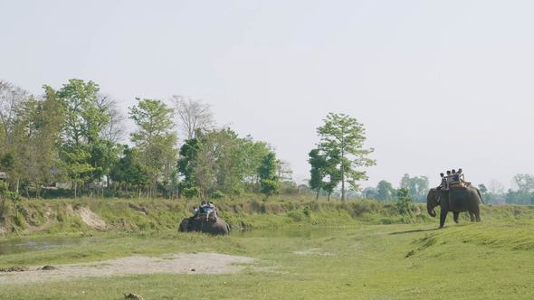 Elephant Safari with Tourists in Jungle, National Park in Chaitwan, Nepal.
