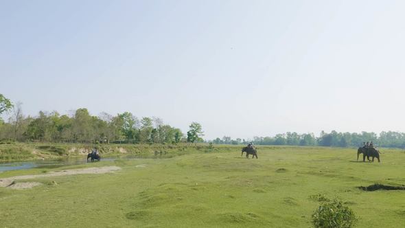 Elephant Safari with Tourists in Jungle, National Park in Chaitwan, Nepal
