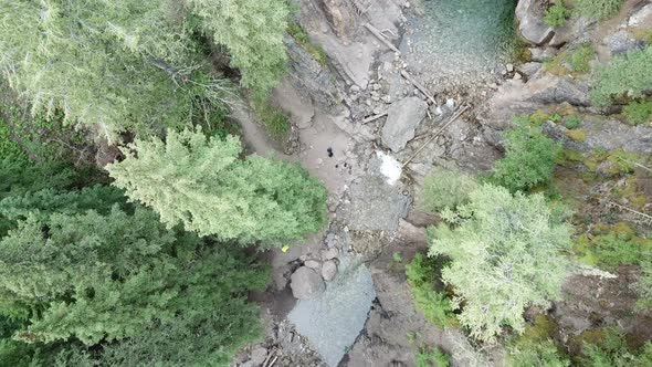 High Decent Beside Trees Towards Creek