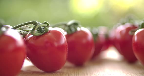 Healthy Tomatoes