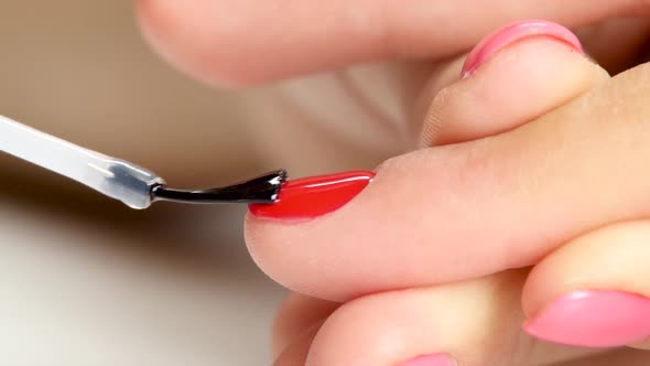 Specialist Establishes the Main Layer of Nail Polish for Customer. Close Up