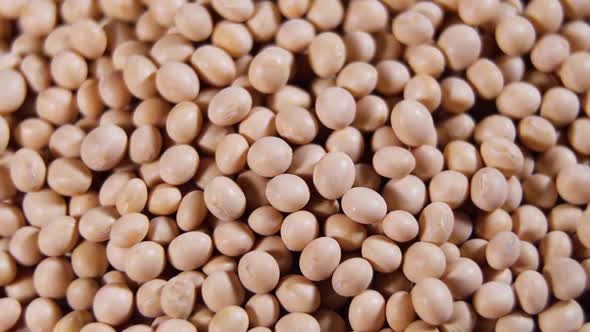 Raw Soy Bean Top View Texture High in Fiber Supplementary Food Protein Healthy Food Soybeans Organic