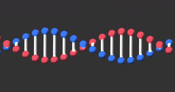 Animation of a digital 3d red, blue and white double helix DNA