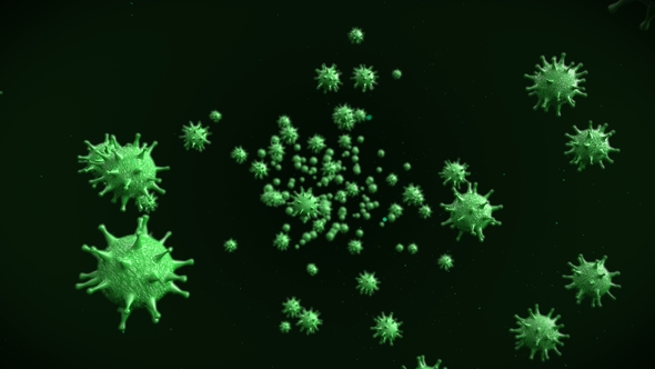 Flight Through the Cells of a Deadly Microorganism alt