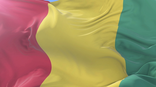 Guinea Flag Waving