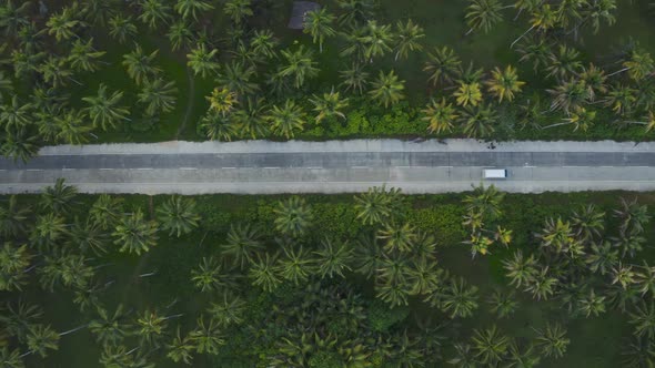 jungle area in the philippines, aerial view