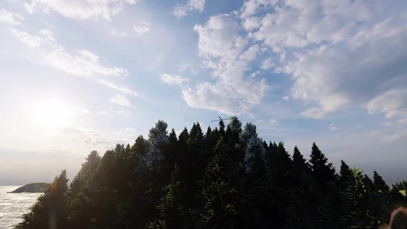 Helicopter And Forest II