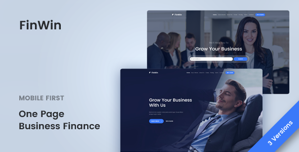 FinWin - One Page Business Finance Template