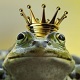 Frog 2
