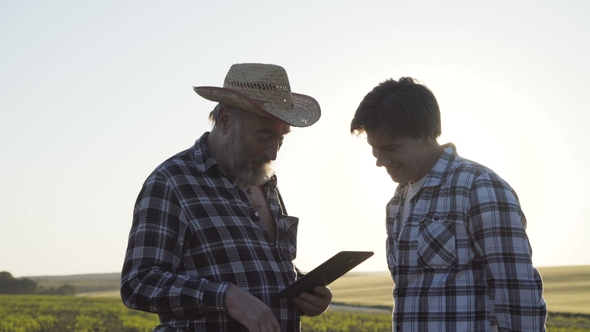 Father and Son Walking on the Corn Field, Deciding the Issues with Tablet