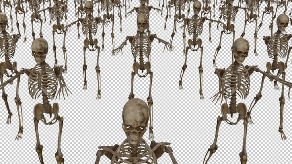 A Crowd of Skeletons Moves Forward