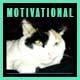 Motivational Inspiring