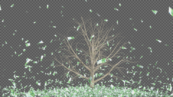 Euro Money Tree alt