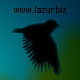 Birds - Lark And Blackbird - VideoHive Item for Sale