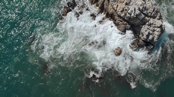 Aerial View of Birds That Start Flying When Ocean Wave Hits the Rocks