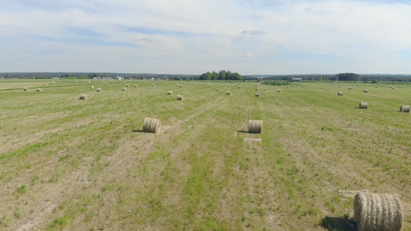 Hayricks Laying on a Field