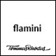 Flamini - Studio/Agency Portfolio WordPress Theme for Elementor - ThemeForest Item for Sale