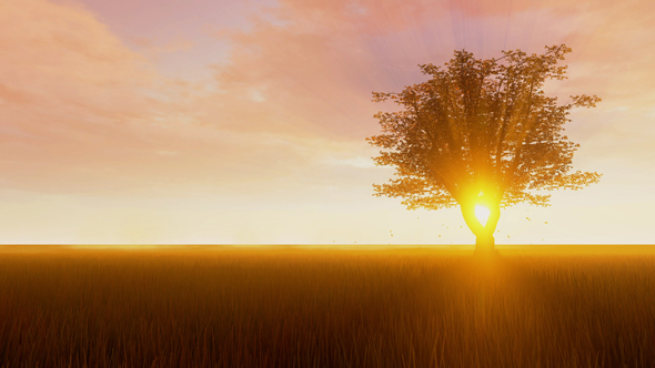 One Autumn Tree On Yellow Field