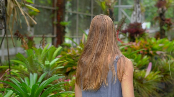 Young Woman and Her Son Visiting a Tropical Botanical Garden. Epiphytes Section