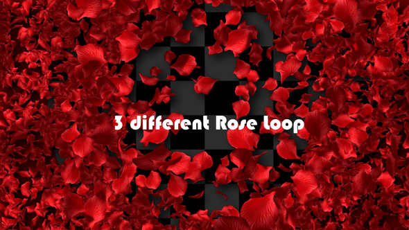 Rose Loop alt