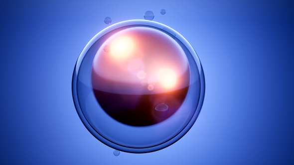 Rotate Cell Division alt