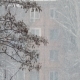 Heavy Snow Falling in a City - VideoHive Item for Sale