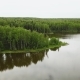 Forest Lake and Becomes Visible Top of Green Forest and Horizon - VideoHive Item for Sale