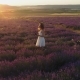 Romantic Walk of Woman Through the Field of Lavender at Sunset - VideoHive Item for Sale