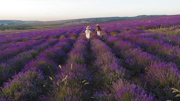 Carefree Girls Go on a Picnic in the Field of Lavender