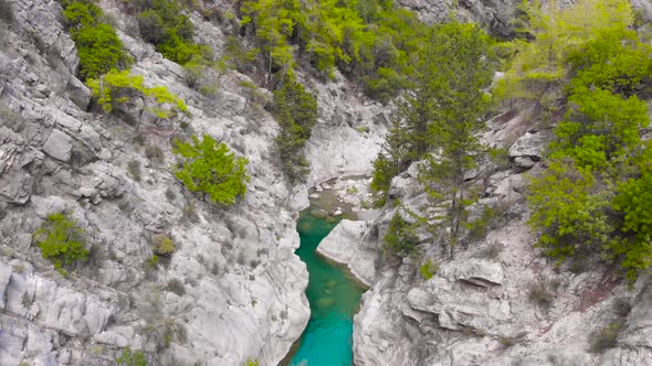 Flight Over a Mountain River and a Trail to a Gorge Among a Coniferous Forest