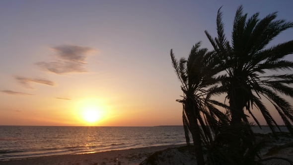 Timelapse of Landscape with Palm Trees and Sunrise Over the Sea