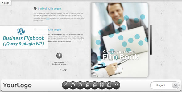 Business FlipBook WordPress plugin