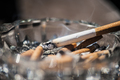 Cigarettes - PhotoDune Item for Sale