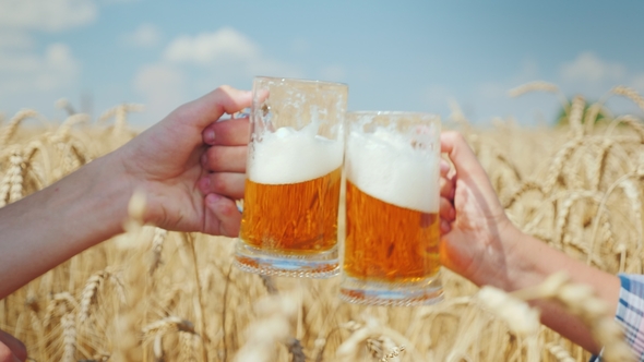 Successful Conclusion of the Deal and Drinking Beer on a Wheat Field From Mugs Are Doubled By