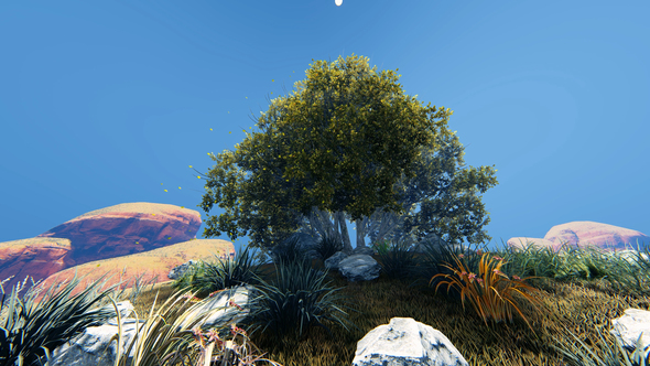 Autumn Tree And Fallen Leaves And fog alt