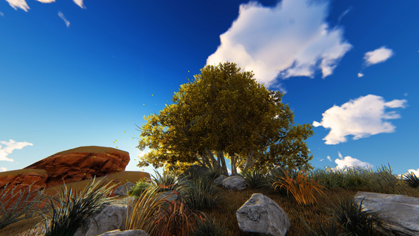 Autumn Tree And Fallen Leaves alt