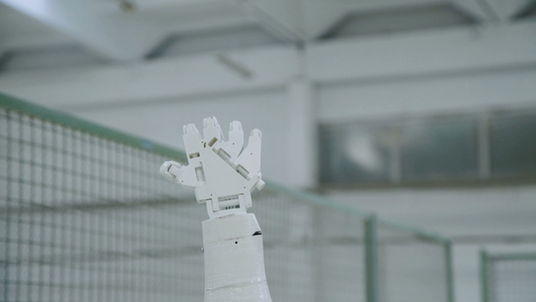 The Robotic Hand Show Gestures of Opening Fingers on the Camera