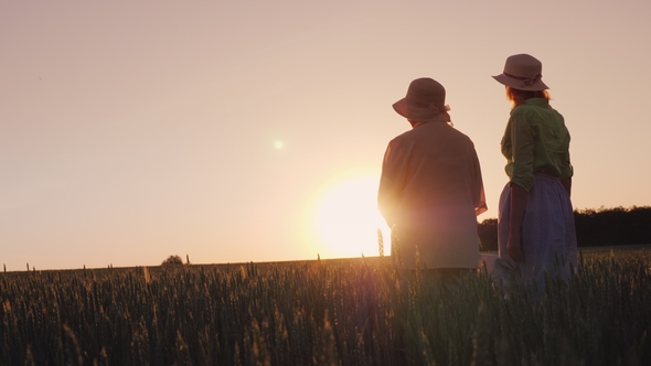 Two Women  Look at the Beautiful Sunset Over the Wheat Field