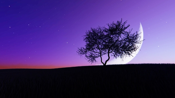 Moonrise on the Background of a Tree alt