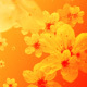 Flowers Background 4K - VideoHive Item for Sale