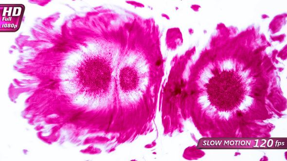 Pink Flowers on White alt