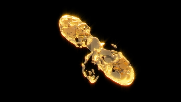 Two Drops Collide on a Black alt